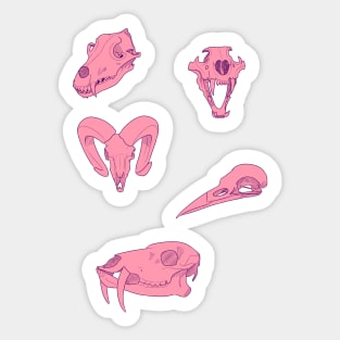 Pink Skulls Sticker